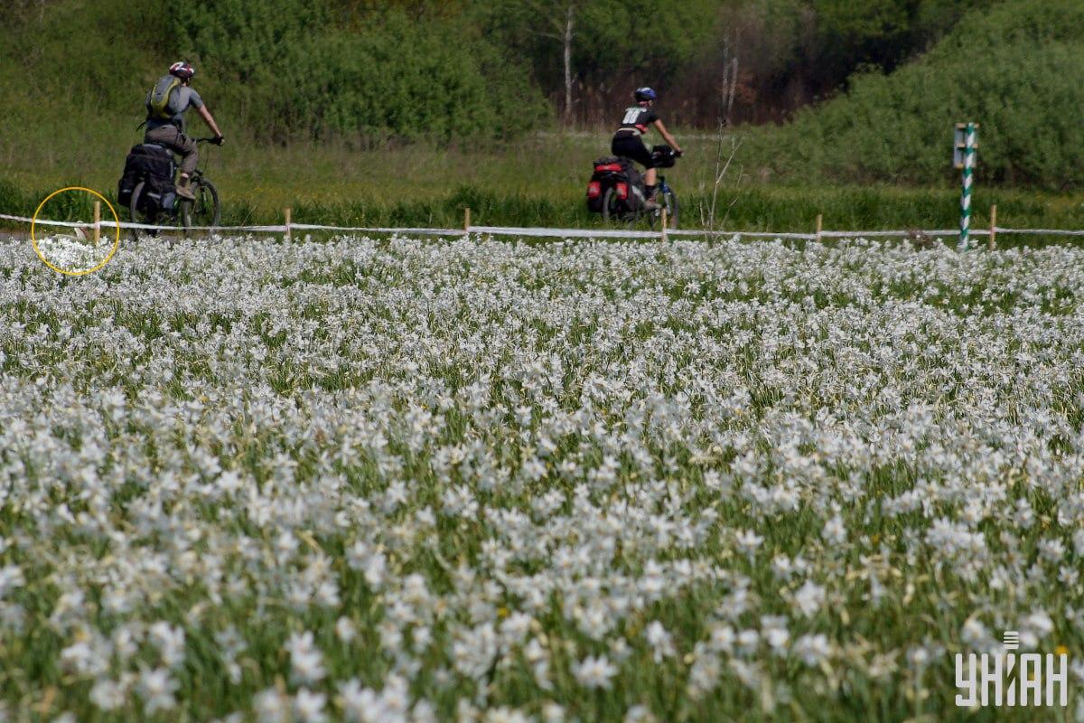 ยูเนี่ยน