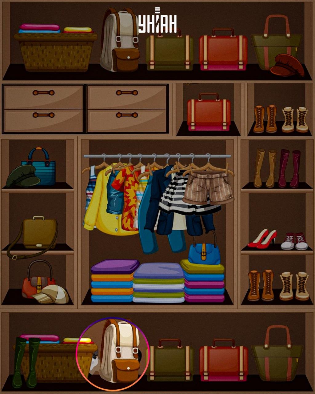 สัตว์เจ้าเล่ห์ถูกวางไว้ที่ด้านล่างของภาพ / ภาพตัดปะ Moje