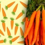 มีเพียงผู้