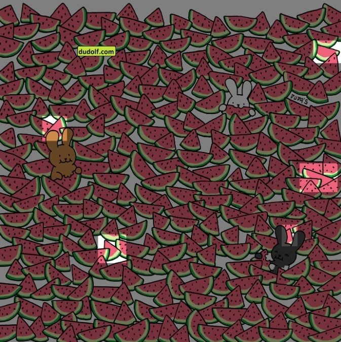 การทดสอบไอคิวที่ท้าทายสำหรับอัจฉริยะ: ค้นหาแตงโมไร้เมล็ด 5 ลูกใน 15 วินาที