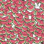 การทดสอบไอคิวที่ท้าทายสำหรับอัจฉริยะ: ค้นหาแตงโมไร้เมล็ด 5 ลูกใน 15 วินาที การทดสอบไอ