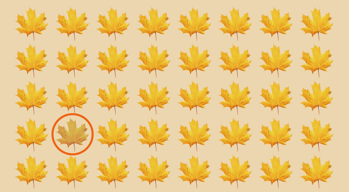 ภาพลวงตา