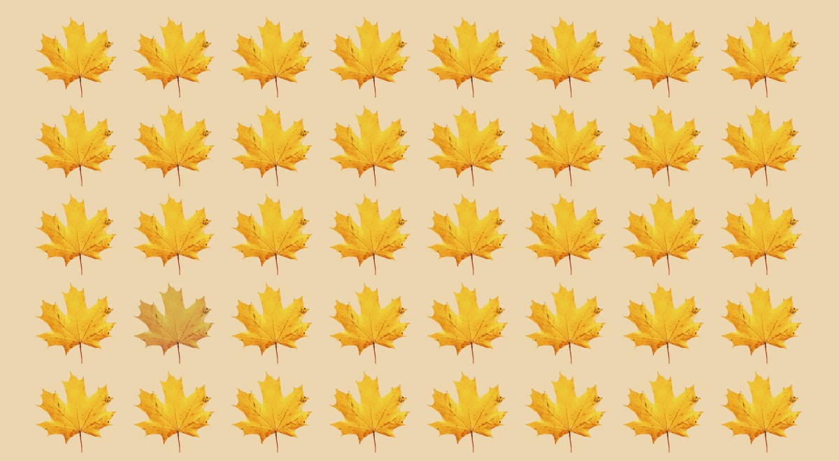 ภาพลวงตา