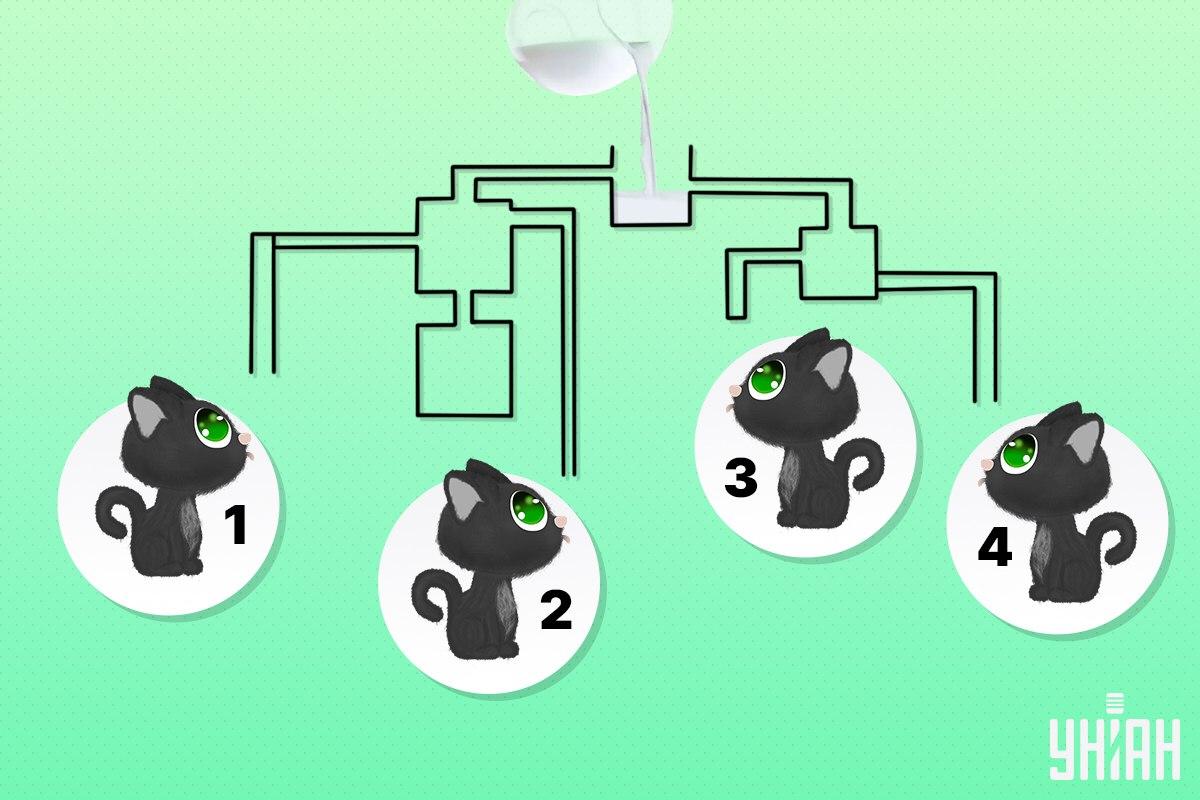 ค้นหาแมวที่สามารถเป็นคนแรกที่จะดื่มนม / ภาพตัดปะ Moje