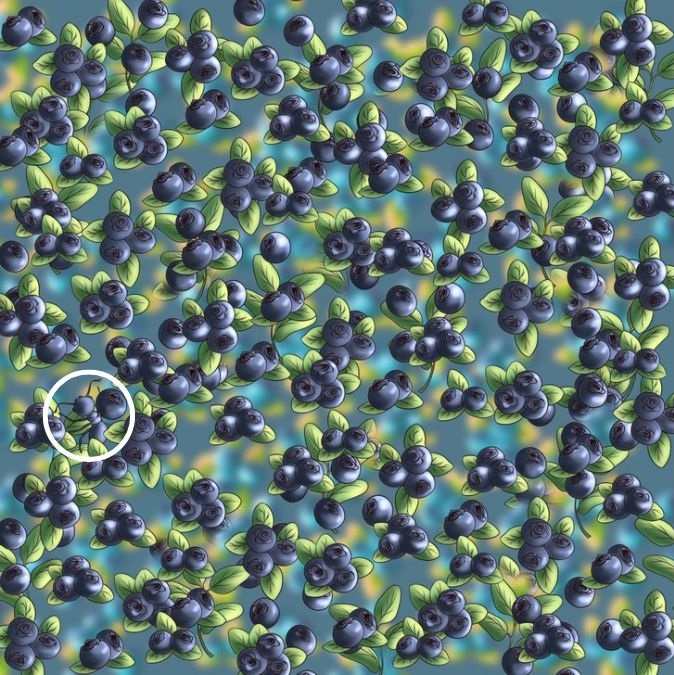 สารละลาย