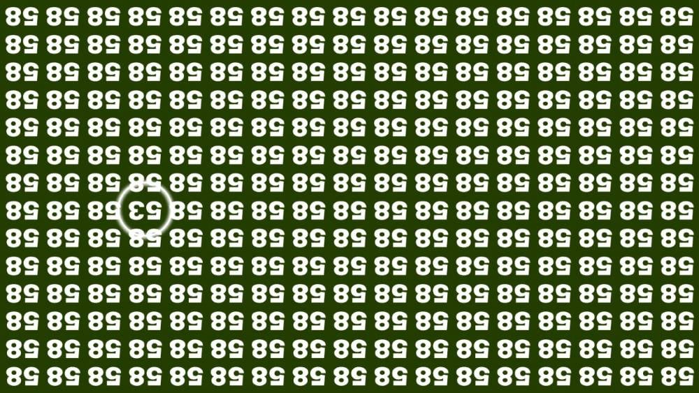 ภาพลวงตา