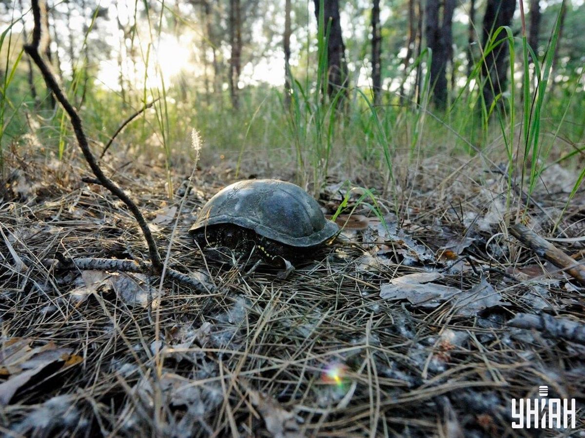 ภาพถ่าย ยูนิอัน