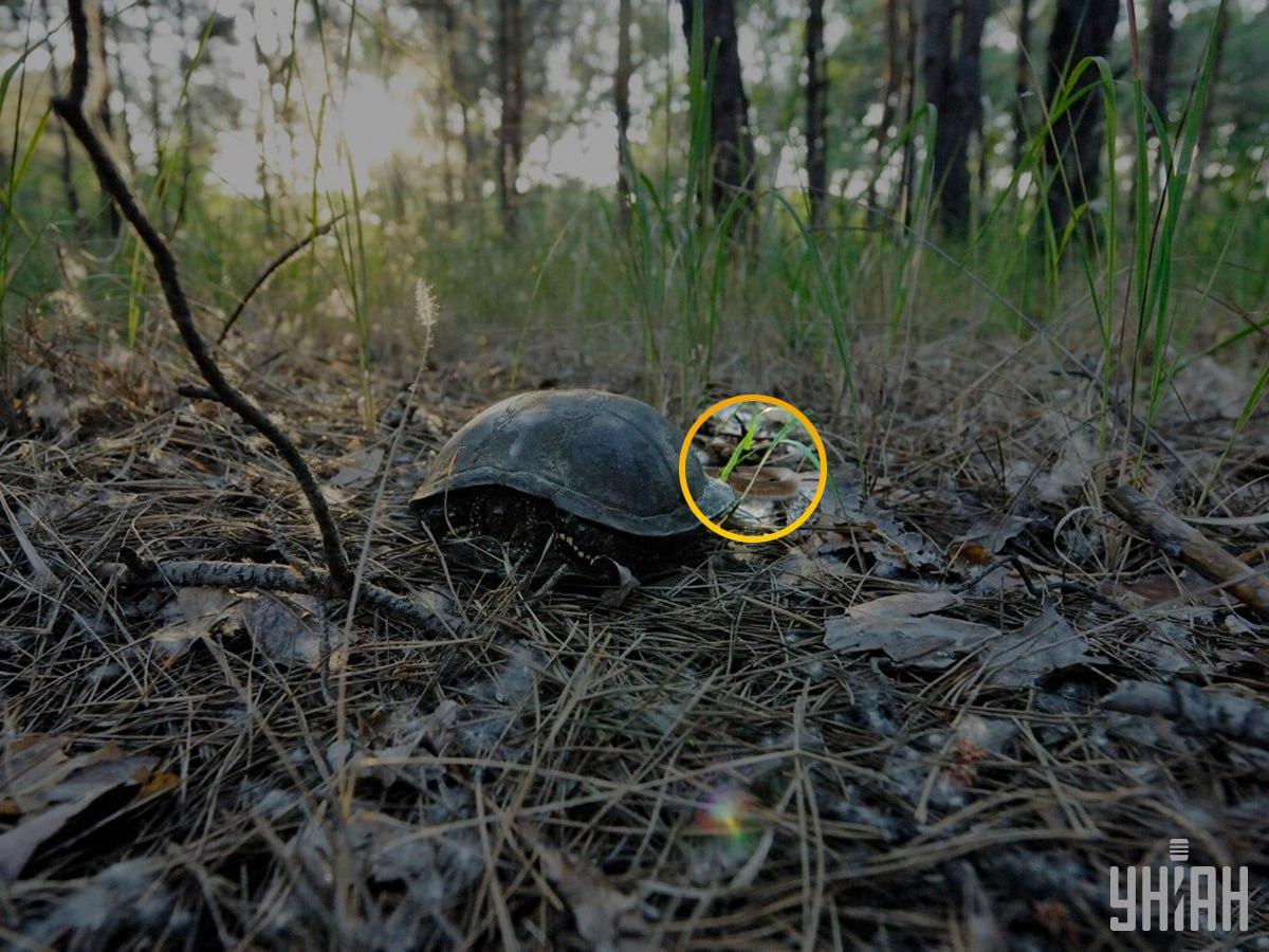 ภาพถ่าย ยูนิอัน