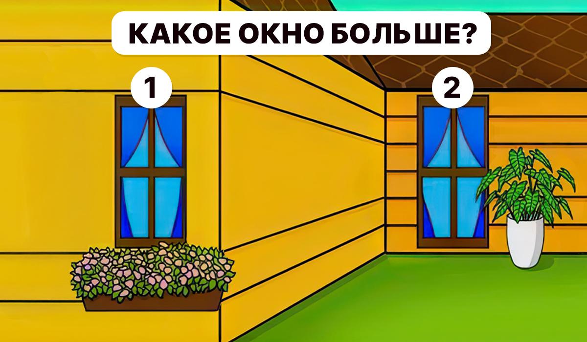 เราต้องเข้าใจว่าหน้าต่างใดใหญ่กว่า / ภาพตัดปะ Moje