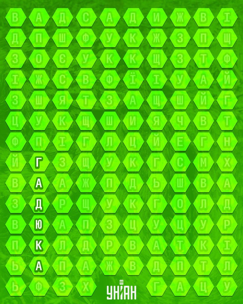 จับแพะชนแกะ Moje