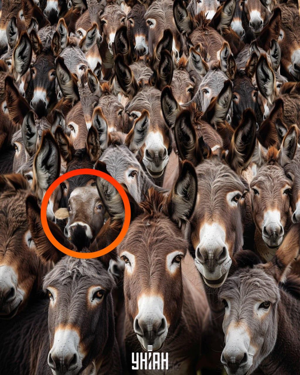 ยูเนี่ยน