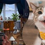 ปริศนาสำหรับผู้ใส่ใจมากที่สุด: คุณต้องค้นหาแมว 2 ตัวในภาพที่น่าสับสน ปริศนาสำหร