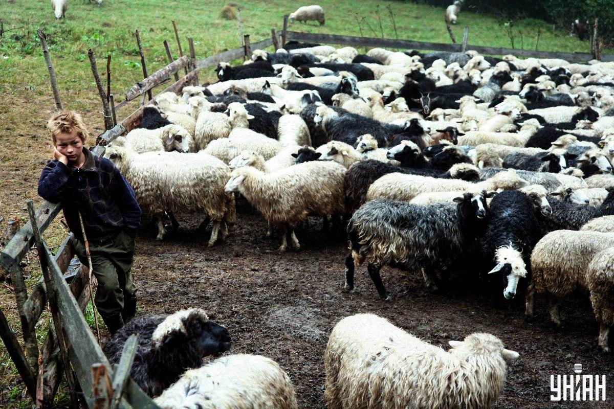 ภาพถ่าย ยูนิอัน