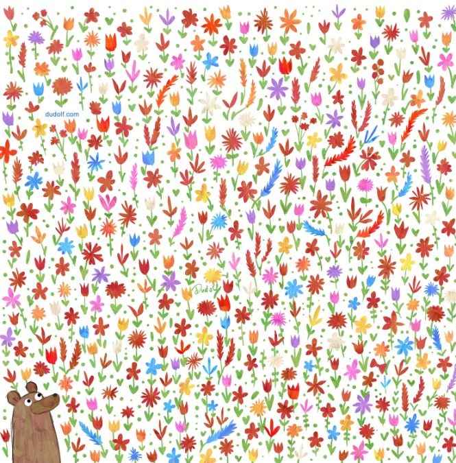 หมีปริศนา