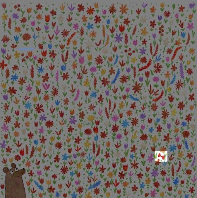 หมีปริศนา