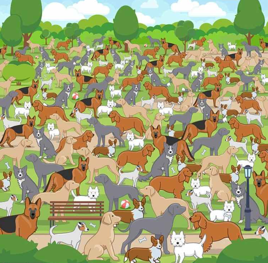 ภาพถ่าย จากรานจอช