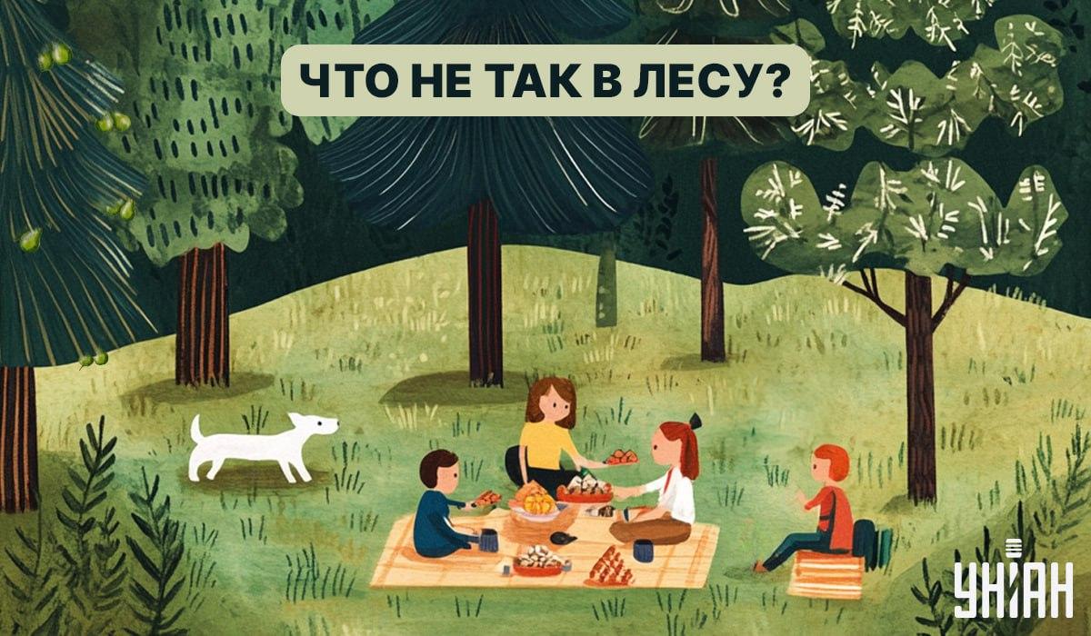 ค้นหาแมลงในป่าใน 5 วินาที: การทดสอบไอคิวอย่างรวดเร็ว