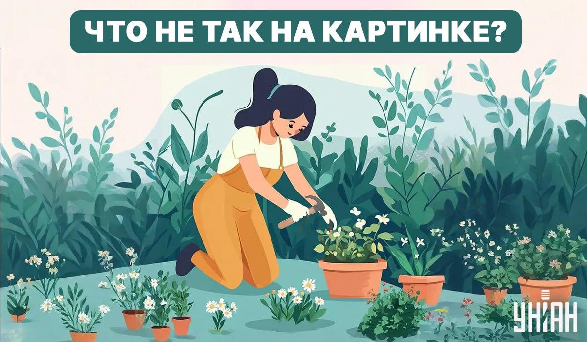 ลองค้นหาข้อผิดพลาด / Collage - Moje