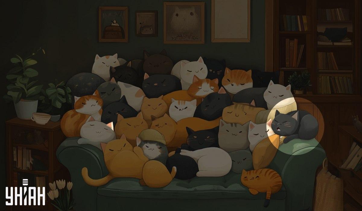 จับแพะชนแกะ Moje