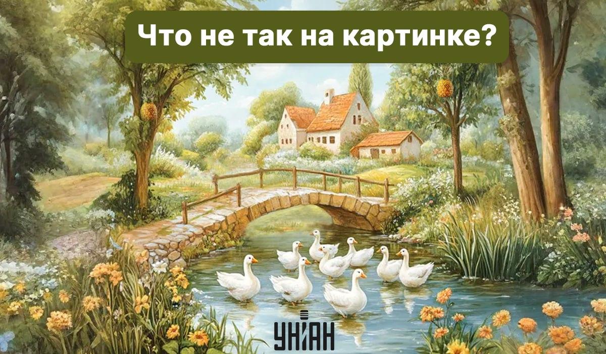 จับแพะชนแกะ Moje