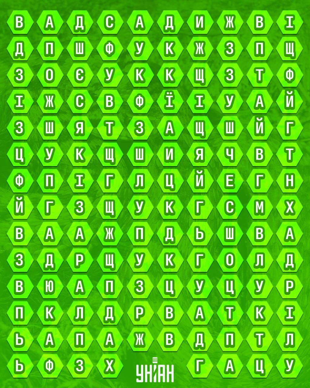 จับแพะชนแกะ Moje